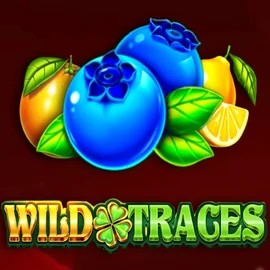 Wild Traces by Amusnet Interactive, showcased at sspinsy.org – game logo
